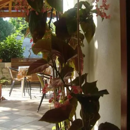 Gabrijela - One Bedroom With Sea View 아파트