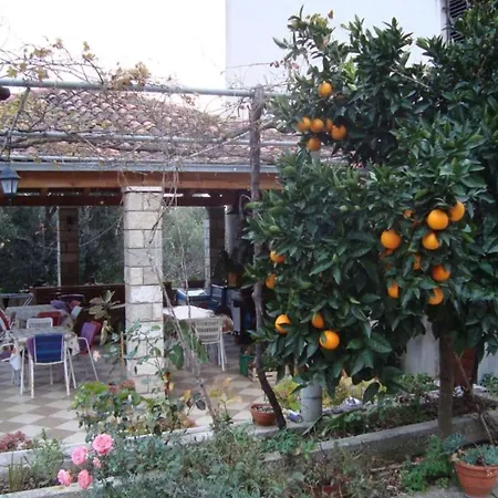 Gabrijela - One Bedroom With Sea View Lejlighed